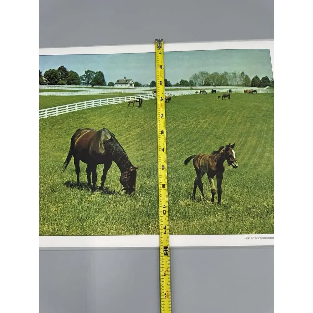 Vintage Scenic Kentucky‎ Vinyl Placemats Set Of 6 READ DETAILS